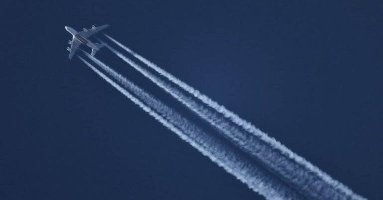 Explore The World With The Aid Of Advice